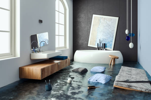 Best Flood damage cleanup  in Eden Prairie, MN