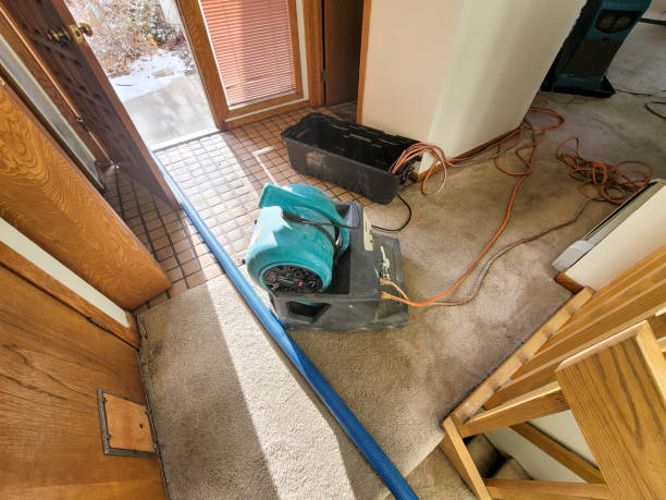 Best Flood restoration services  in Eden Prairie, MN