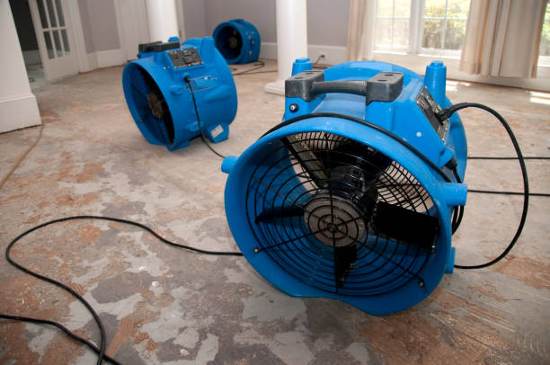 Best Basement water damage restoration  in Eden Prairie, MN