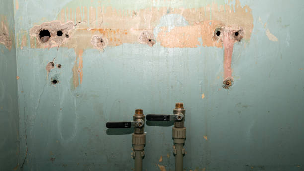 Best Mold removal after water damage  in Eden Prairie, MN