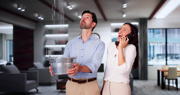 Best Fire Damage Restoration  in Eden Prairie, MN