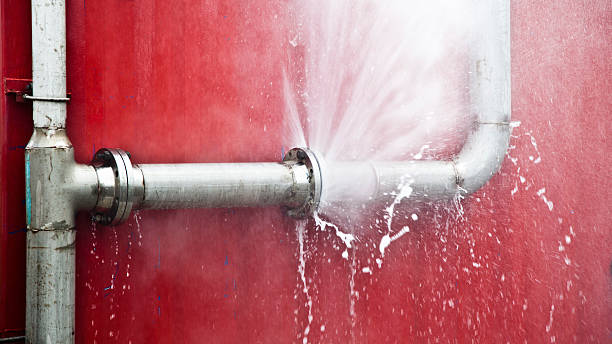 Best Professional water damage repair  in Eden Prairie, MN